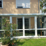 biały ogród zimowy z psem