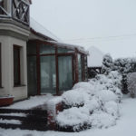 brązowy ogród zimowy zimą